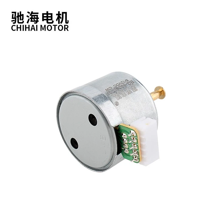 DC Brush Motor With Adjustable Speed