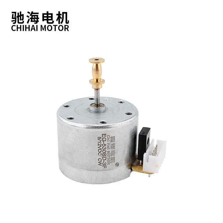 DC Brush Motor With Adjustable Speed