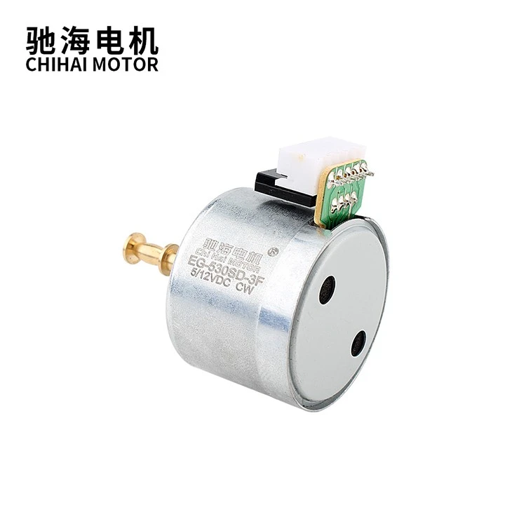 DC Brush Motor With Adjustable Speed